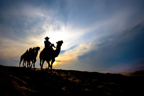 VIP888·(中国区)有限公司官网