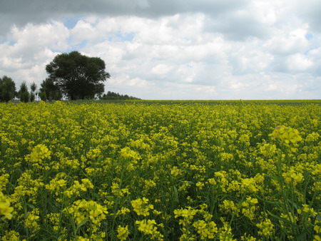 VIP888·(中国区)有限公司官网