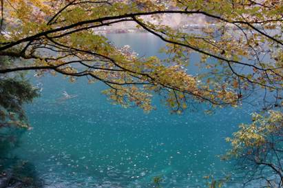 VIP888·(中国区)有限公司官网