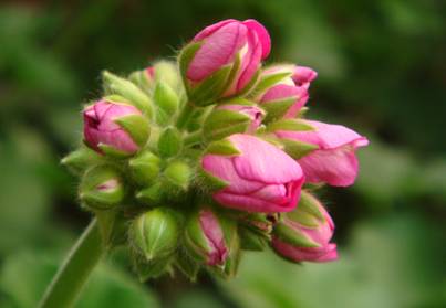 VIP888·(中国区)有限公司官网