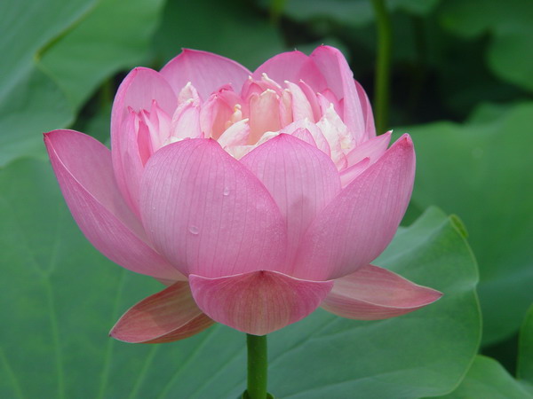 VIP888·(中国区)有限公司官网