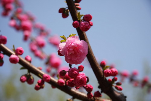 VIP888·(中国区)有限公司官网