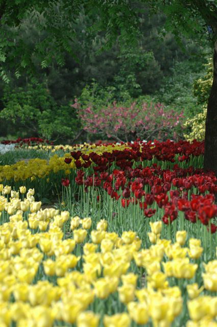 VIP888·(中国区)有限公司官网