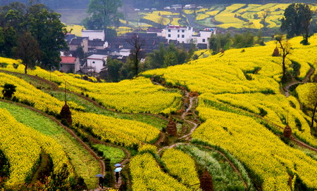 VIP888·(中国区)有限公司官网