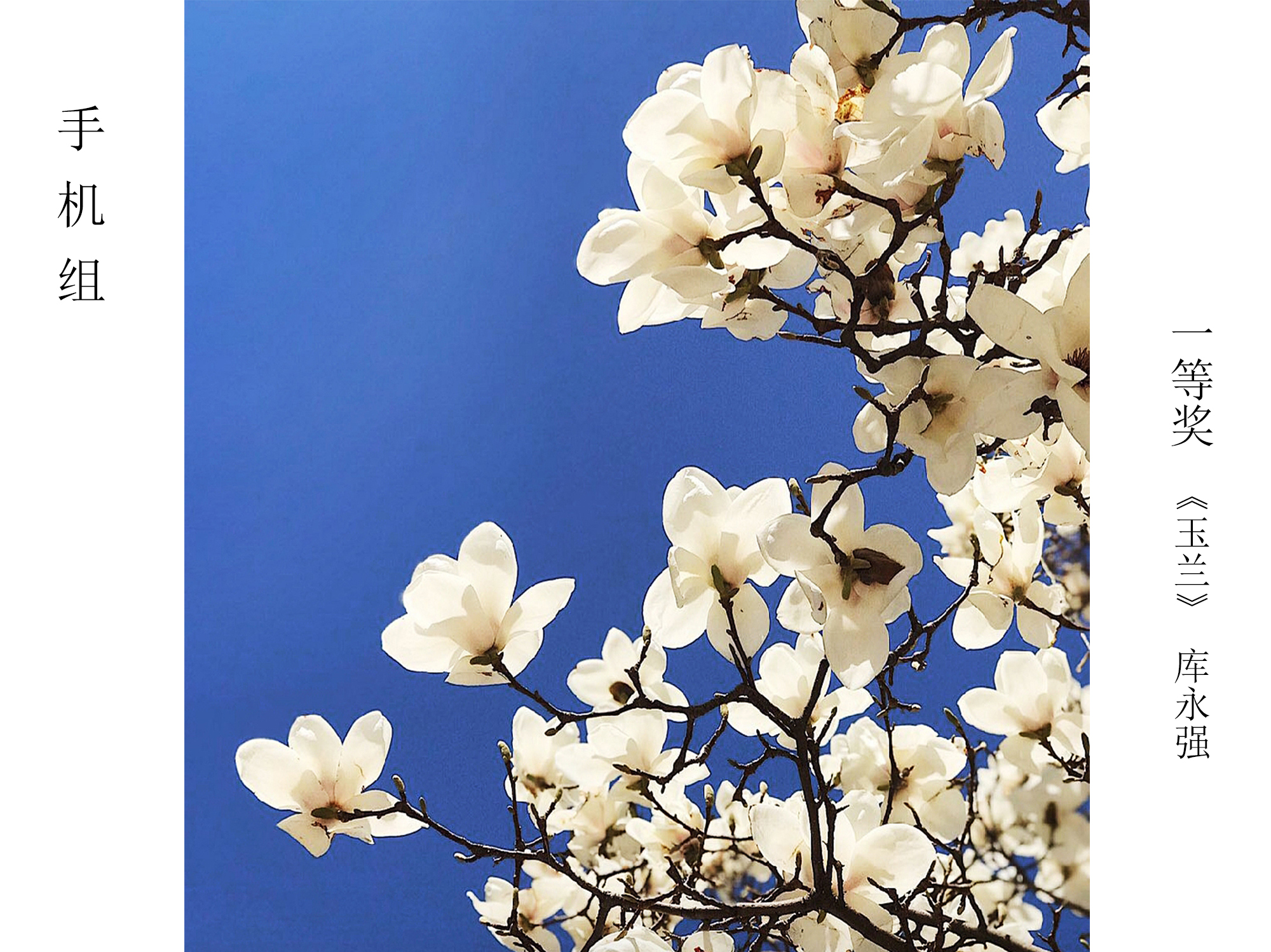 VIP888·(中国区)有限公司官网