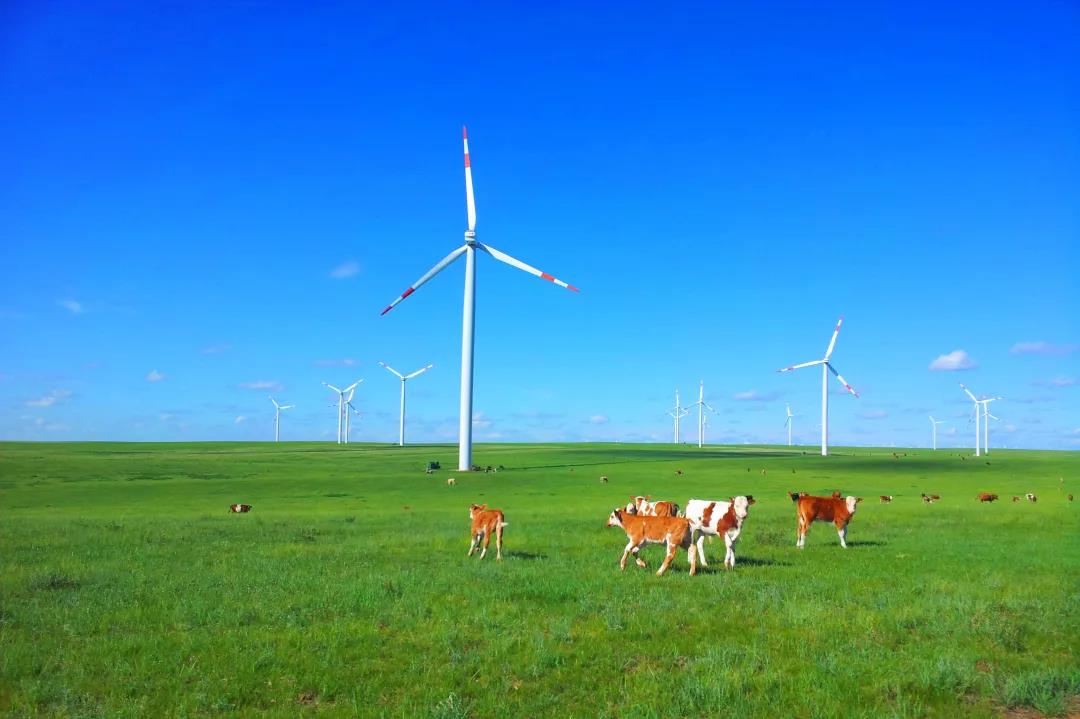 VIP888·(中国区)有限公司官网