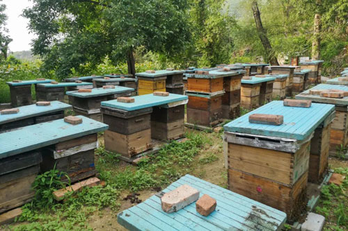 VIP888·(中国区)有限公司官网