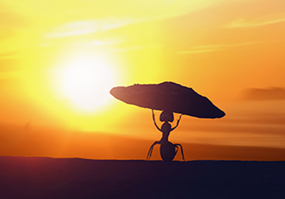 VIP888·(中国区)有限公司官网